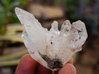 Natural Brandberg Window Quartz Crystals x 24 From Brandberg, Namibia - Toprock Gemstones and Minerals 