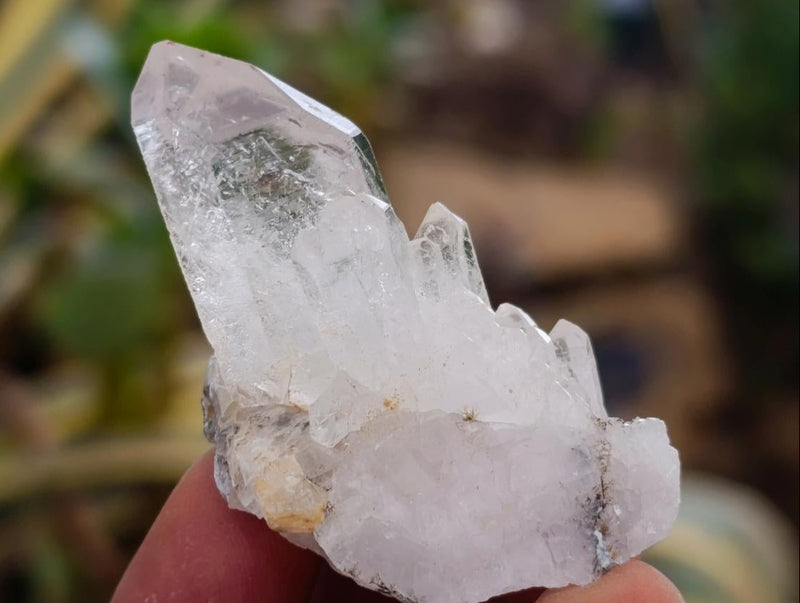 Natural Brandberg Window Quartz Crystals x 24 From Brandberg, Namibia - Toprock Gemstones and Minerals 