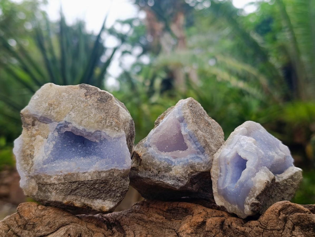 Natural Blue Lace Agate Geode Specimens x 12 From Nsanje, Malawi - Toprock Gemstones and Minerals 