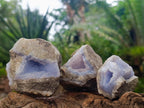 Natural Blue Lace Agate Geode Specimens x 12 From Nsanje, Malawi - Toprock Gemstones and Minerals 