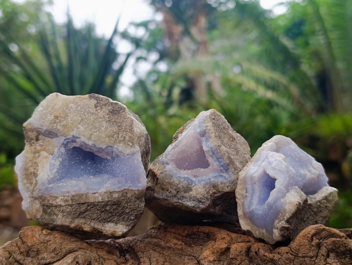Natural Blue Lace Agate Geode Specimens x 12 From Nsanje, Malawi - Toprock Gemstones and Minerals 