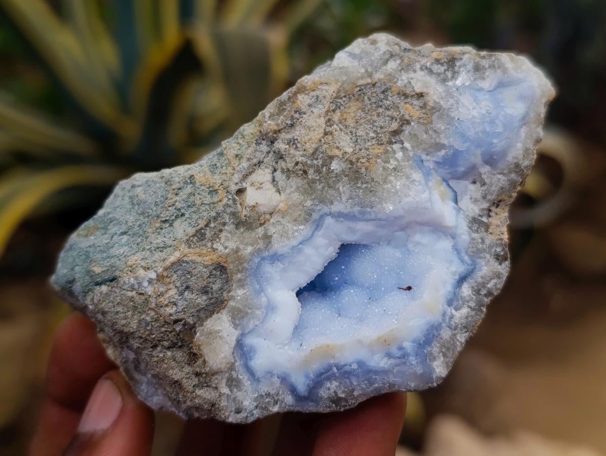 Natural Blue Lace Agate Geode Specimens x 12 From Nsanje, Malawi - Toprock Gemstones and Minerals 