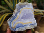 Natural Blue Lace Agate Geode Specimens x 12 From Nsanje, Malawi - Toprock Gemstones and Minerals 