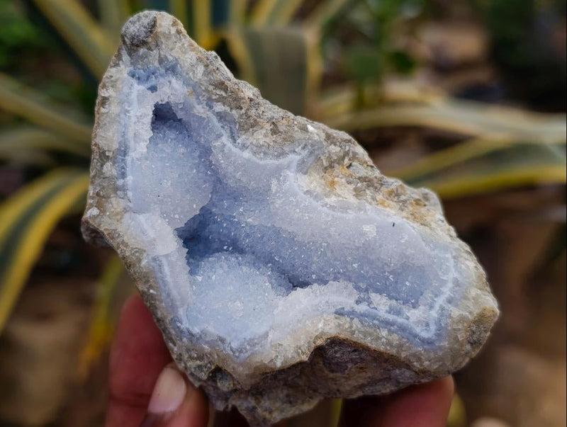Natural Blue Lace Agate Geode Specimens x 12 From Nsanje, Malawi - Toprock Gemstones and Minerals 
