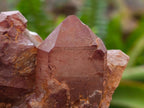 Natural Red Hematoid Phantom Quartz Crystal Clusters x 6 From Karoi, Zimbabwe - Toprock Gemstones and Minerals 