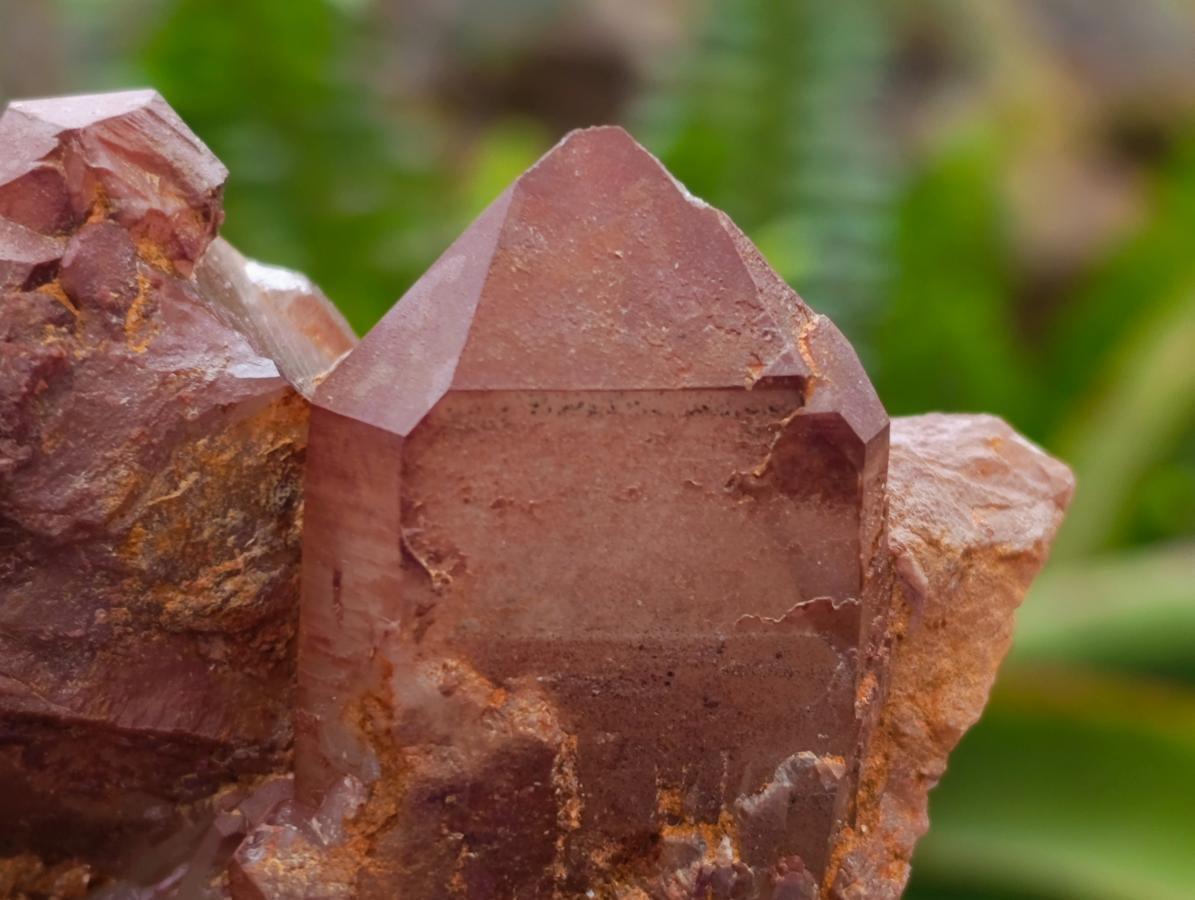 Natural Red Hematoid Phantom Quartz Crystal Clusters x 6 From Karoi, Zimbabwe - Toprock Gemstones and Minerals 