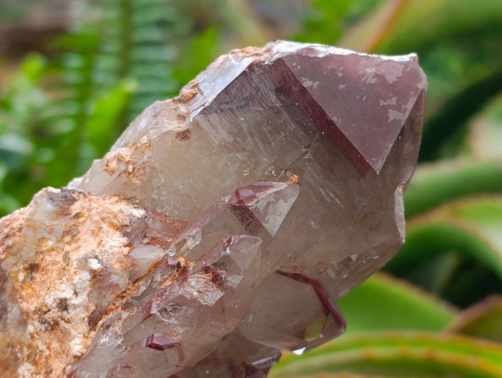 Natural Red Hematoid Phantom Quartz Crystal Clusters x 6 From Karoi, Zimbabwe - Toprock Gemstones and Minerals 