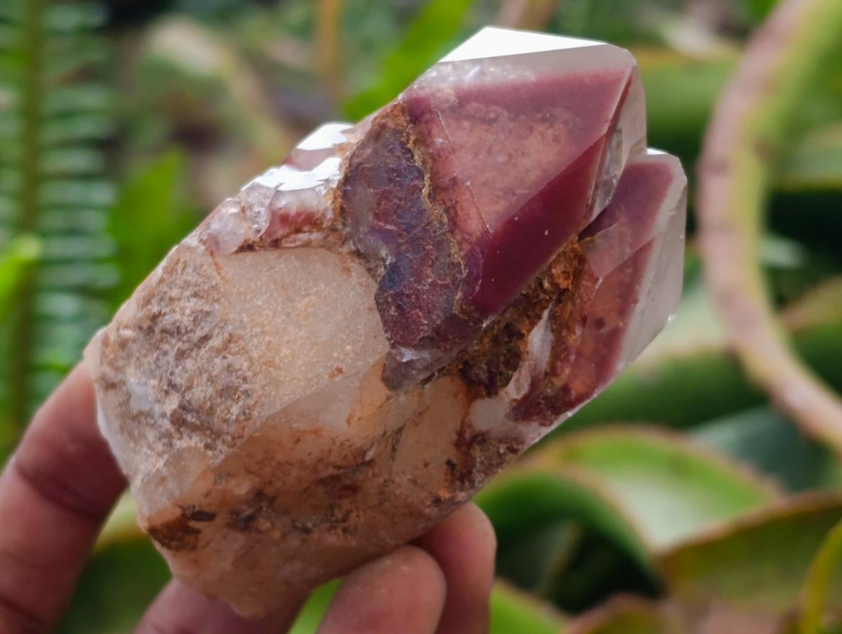 Natural Red Hematoid Phantom Quartz Crystal Clusters x 6 From Karoi, Zimbabwe - Toprock Gemstones and Minerals 