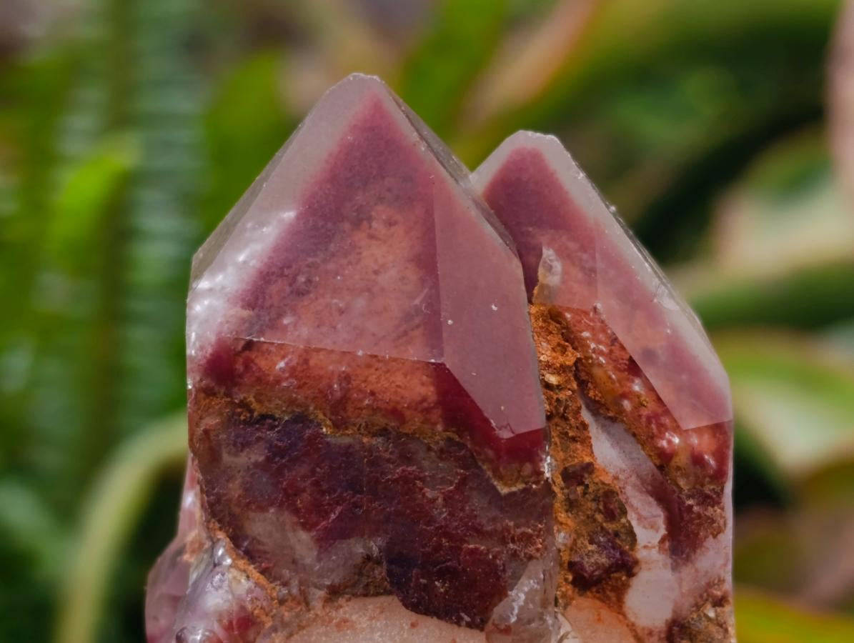 Natural Red Hematoid Phantom Quartz Crystal Clusters x 6 From Karoi, Zimbabwe - Toprock Gemstones and Minerals 
