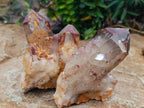 Natural Red Hematoid Phantom Quartz Crystal Clusters x 6 From Karoi, Zimbabwe - Toprock Gemstones and Minerals 