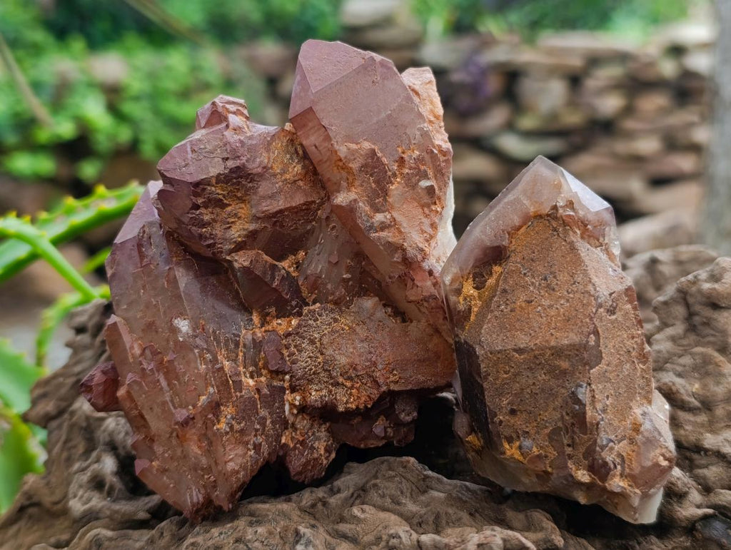 Natural Red Hematoid Phantom Quartz Crystal Clusters x 6 From Karoi, Zimbabwe - Toprock Gemstones and Minerals 