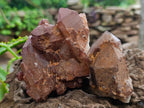 Natural Red Hematoid Phantom Quartz Crystal Clusters x 6 From Karoi, Zimbabwe - Toprock Gemstones and Minerals 
