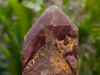 Natural Red Hematoid Phantom Quartz Crystal Clusters x 6 From Karoi, Zimbabwe - Toprock Gemstones and Minerals 