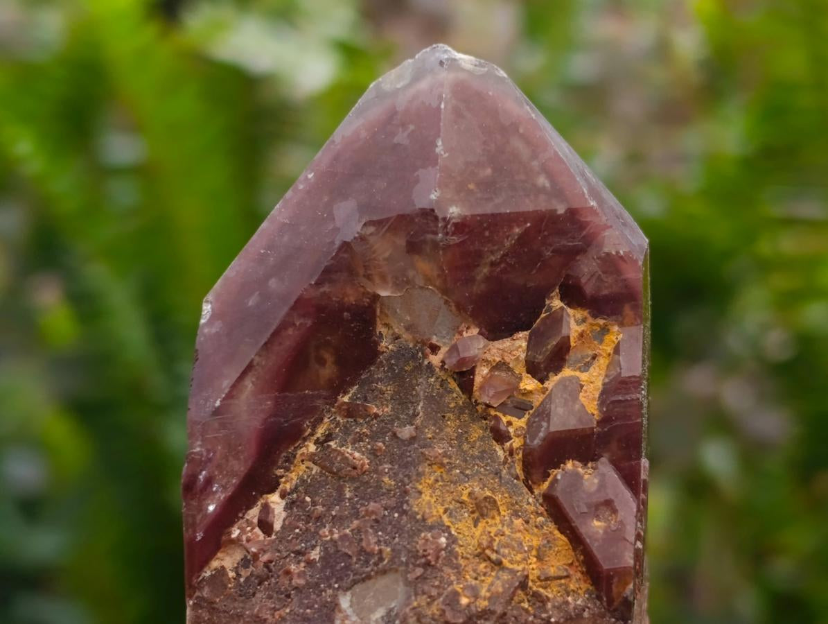Natural Red Hematoid Phantom Quartz Crystal Clusters x 6 From Karoi, Zimbabwe - Toprock Gemstones and Minerals 
