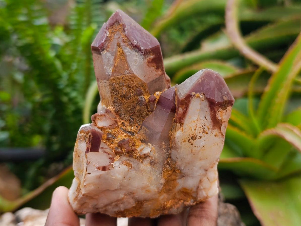 Natural Red Hematoid Phantom Quartz Crystal Clusters x 6 From Karoi, Zimbabwe - Toprock Gemstones and Minerals 