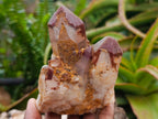 Natural Red Hematoid Phantom Quartz Crystal Clusters x 6 From Karoi, Zimbabwe - Toprock Gemstones and Minerals 