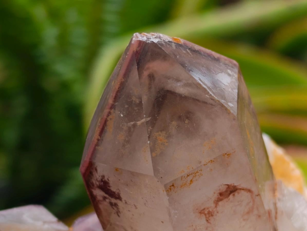 Natural Red Hematoid Phantom Quartz Crystal Clusters x 6 From Karoi, Zimbabwe - Toprock Gemstones and Minerals 