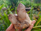 Natural Red Hematoid Phantom Quartz Crystal Clusters x 6 From Karoi, Zimbabwe - Toprock Gemstones and Minerals 