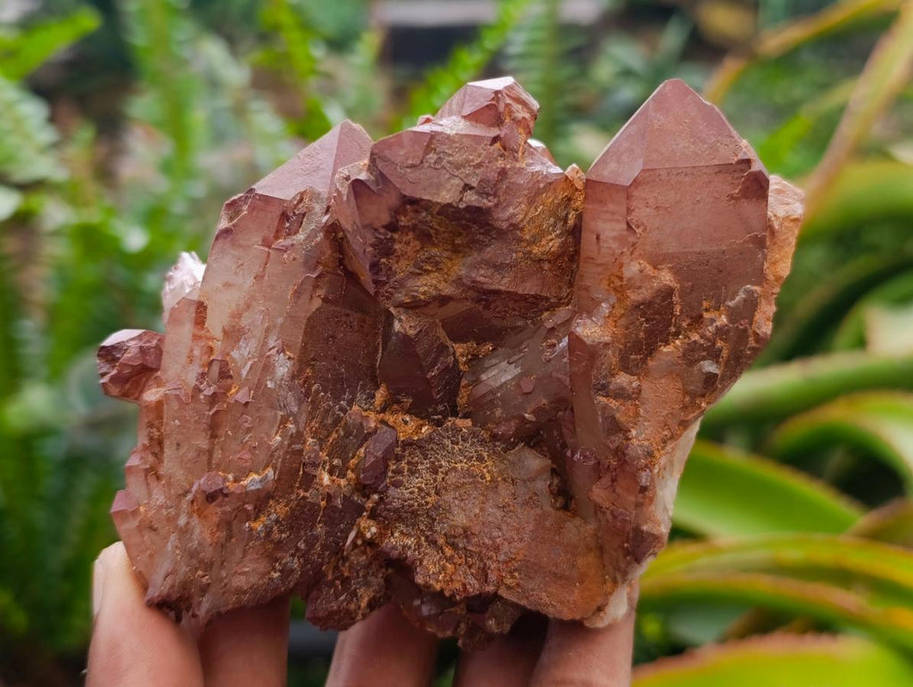 Natural Red Hematoid Phantom Quartz Crystal Clusters x 6 From Karoi, Zimbabwe - Toprock Gemstones and Minerals 