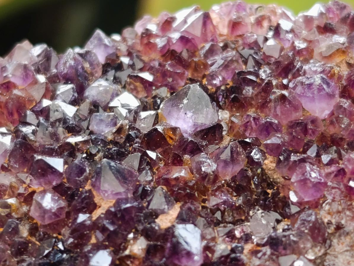 Natural Dark Purple Amethyst Quartz Crystal Plates x 35 From Boekenhouthoek, South Africa - Toprock Gemstones and Minerals 