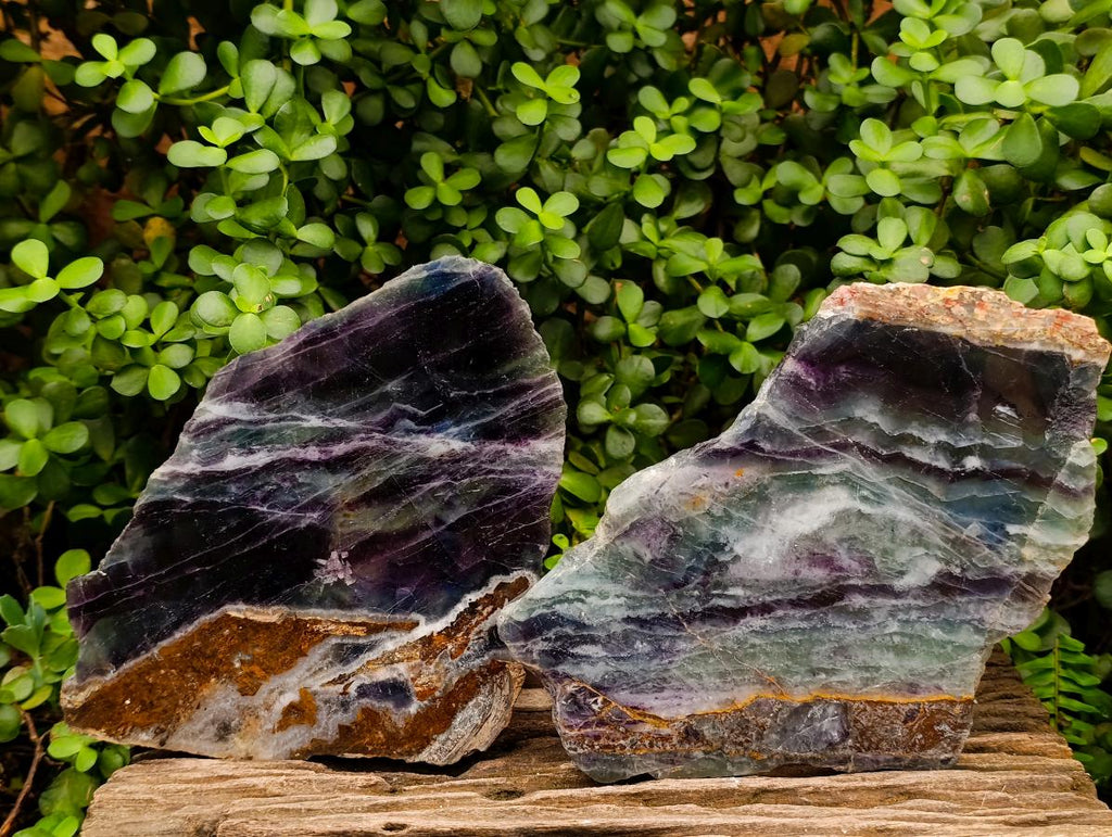 Polished Watermelon Fluorite Slices x 2 From Uis, Namibia - Toprock Gemstones and Minerals 