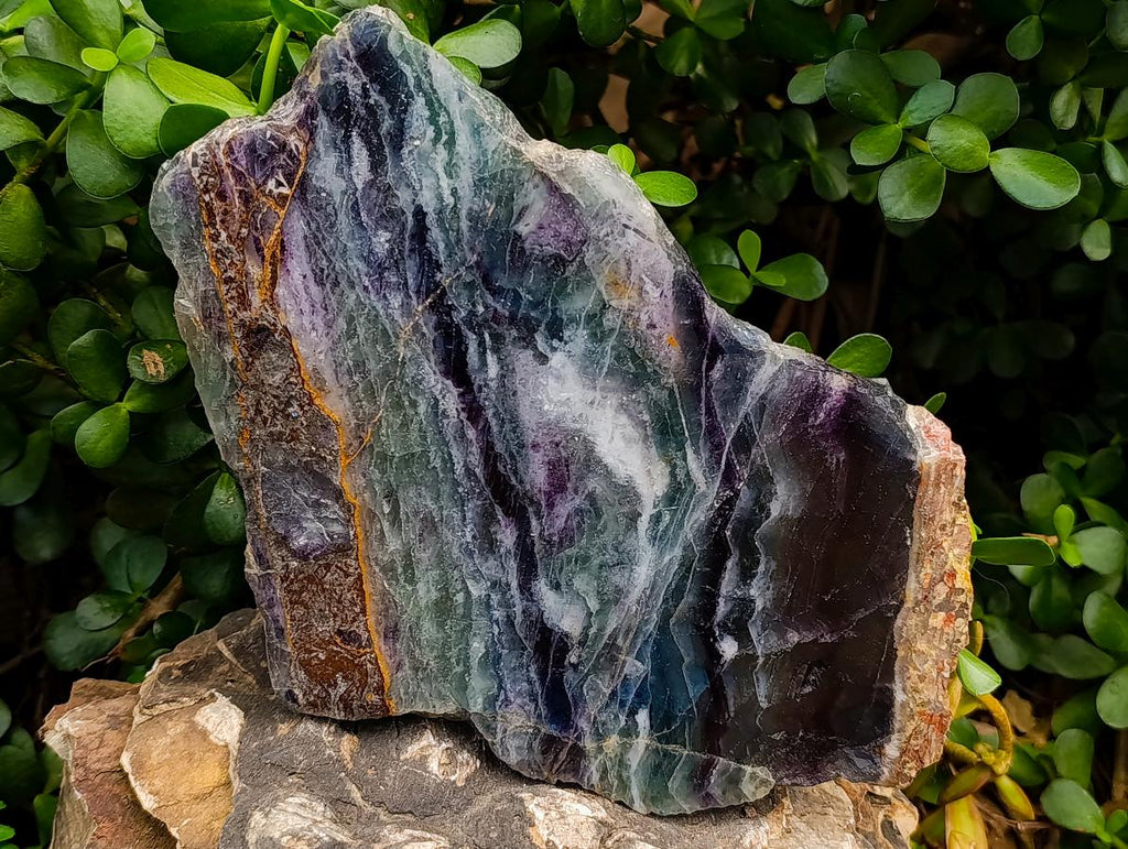Polished Watermelon Fluorite Slices x 2 From Uis, Namibia - Toprock Gemstones and Minerals 