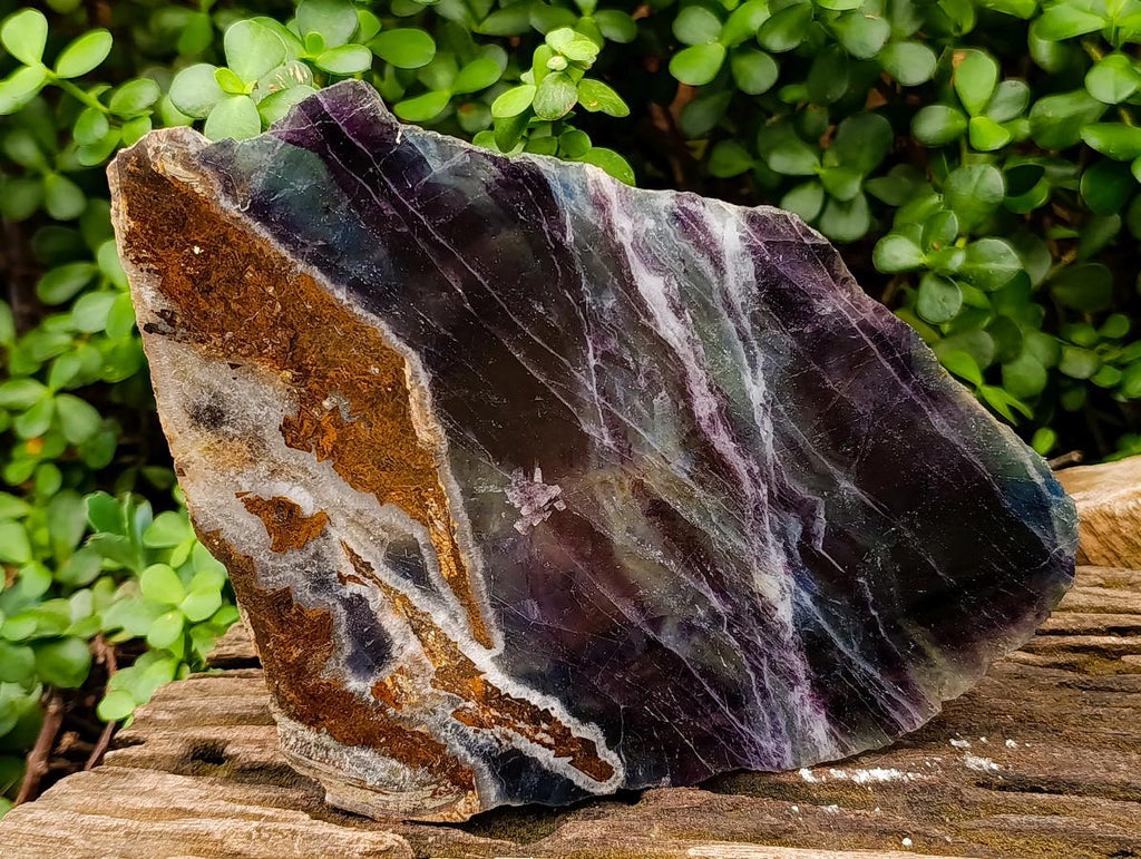 Polished Watermelon Fluorite Slices x 2 From Uis, Namibia - Toprock Gemstones and Minerals 
