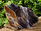 Polished Watermelon Fluorite Slices x 2 From Uis, Namibia - Toprock Gemstones and Minerals 