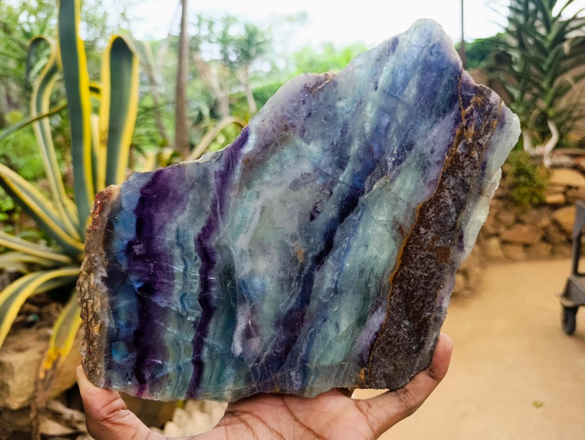 Polished Watermelon Fluorite Slices x 2 From Uis, Namibia - Toprock Gemstones and Minerals 