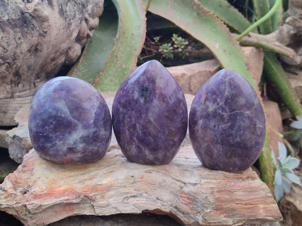 Polished Lepidolite Standing Free Forms x 3 From Ambatondrazaka, Madagascar - Toprock Gemstones and Minerals 