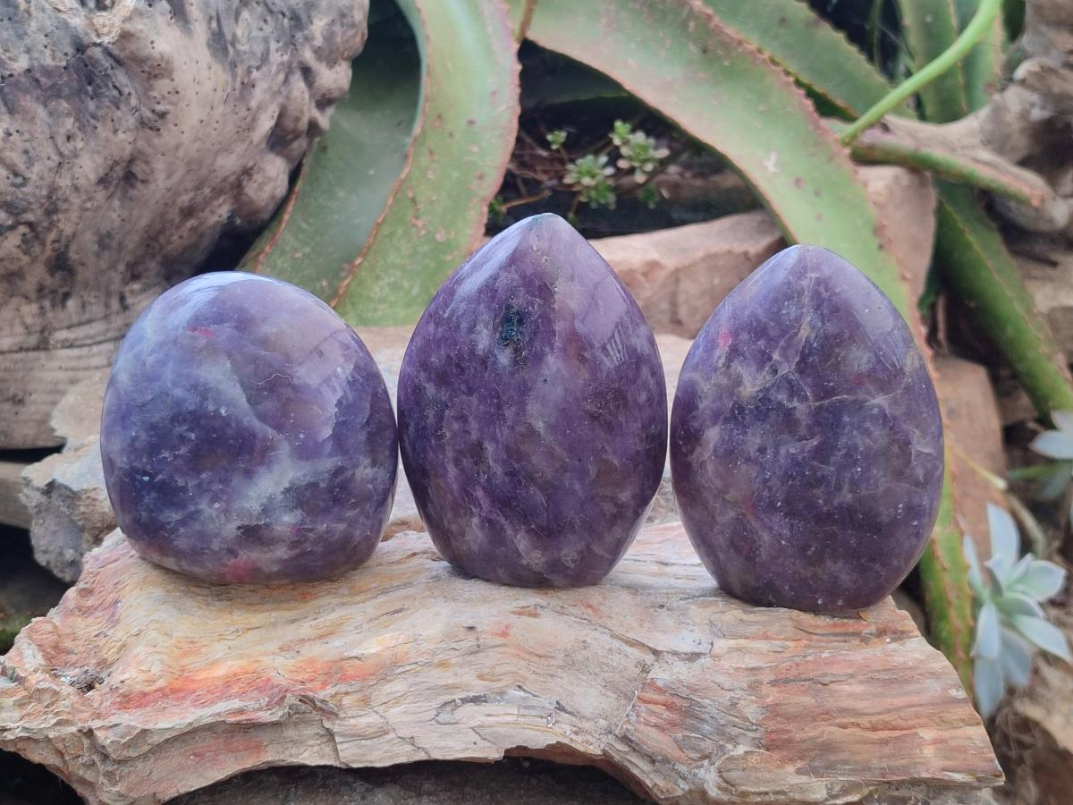 Polished Lepidolite Standing Free Forms x 3 From Ambatondrazaka, Madagascar - Toprock Gemstones and Minerals 
