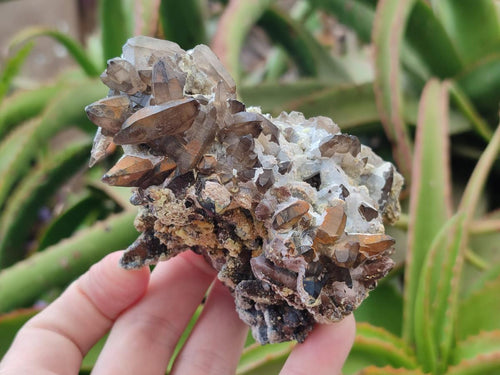 Natural Schorl Black Tourmaline with Smokey Quartz and Hyalite Opal x 6 From Erongo, Namibia - Toprock Gemstones and Minerals 
