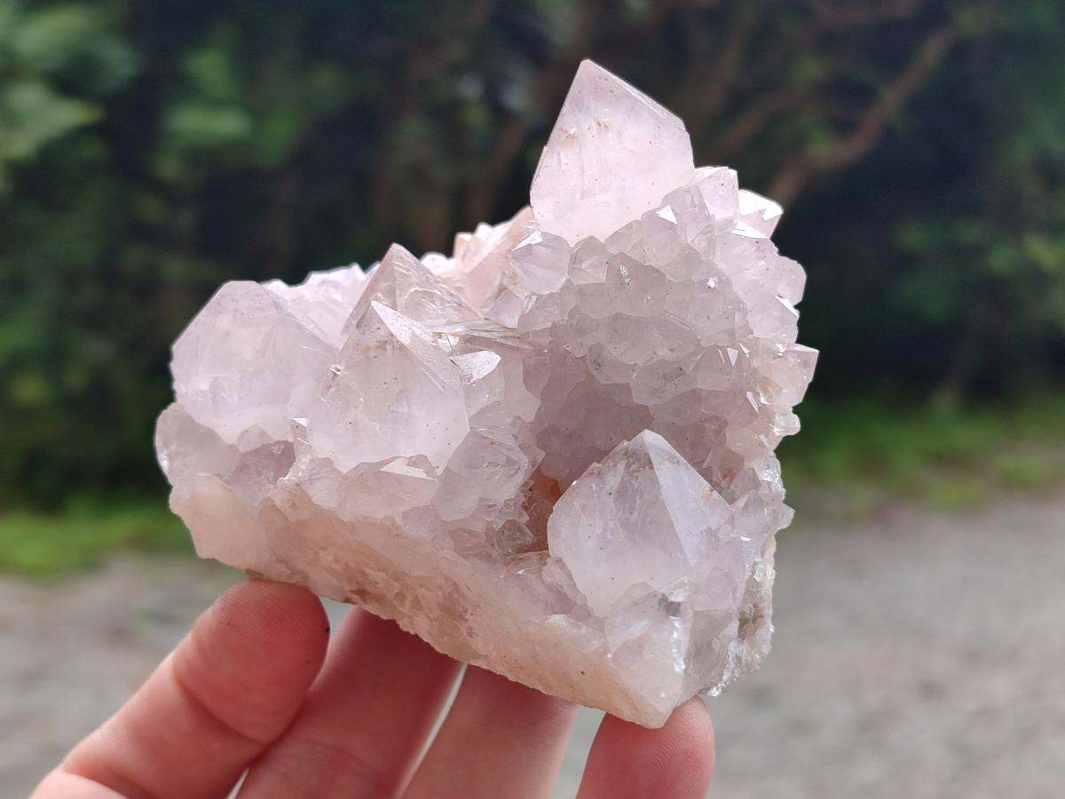 Natural Cactus Flower Pale Lilac Amethyst Spirit Clusters x 3 From South Africa - Toprock Gemstones and Minerals 