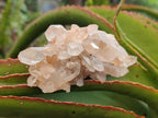 Natural Madagascar Quartz Clusters x 12 From Madagascar - Toprock Gemstones and Minerals 