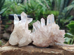 Natural Madagascar Quartz Clusters x 12 From Madagascar - Toprock Gemstones and Minerals 