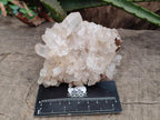 Natural Madagascar Quartz Clusters x 12 From Madagascar - Toprock Gemstones and Minerals 