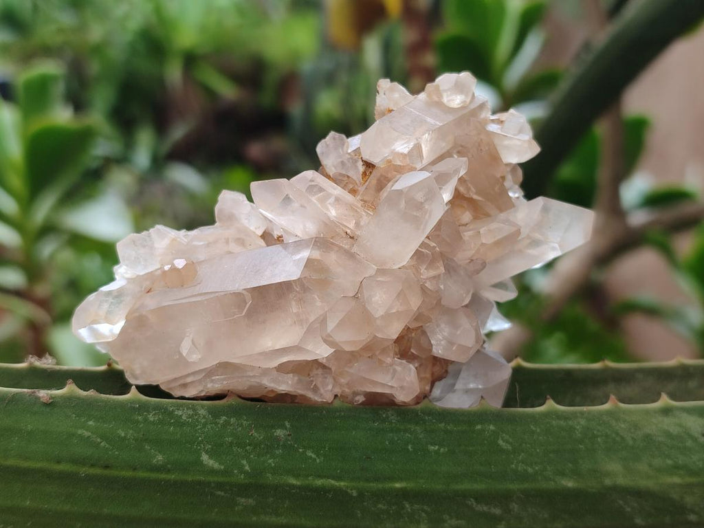Natural Madagascar Quartz Clusters x 12 From Madagascar - Toprock Gemstones and Minerals 
