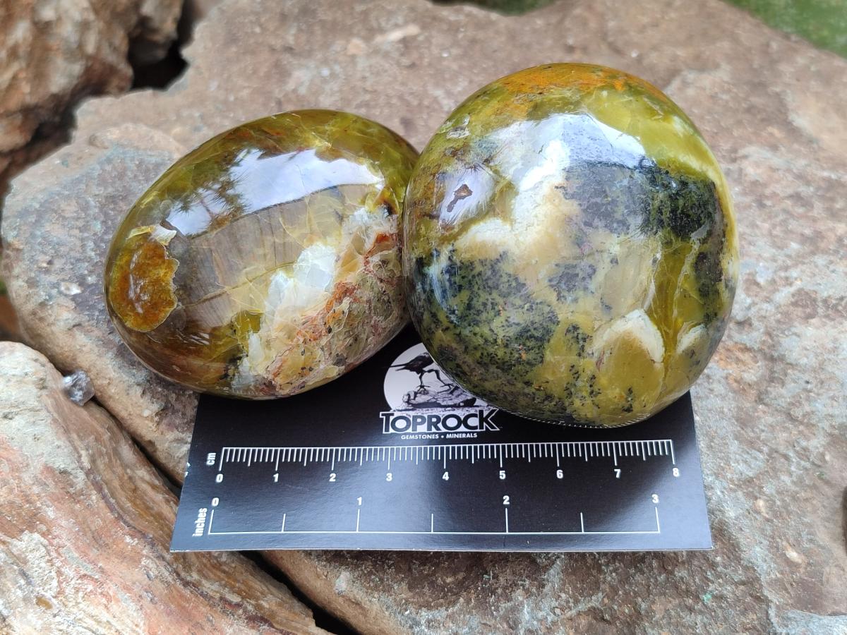 Polished Mixed Galets x 12 From Madagascar - Toprock Gemstones and Minerals 