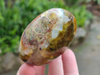 Polished Mixed Galets x 12 From Madagascar - Toprock Gemstones and Minerals 