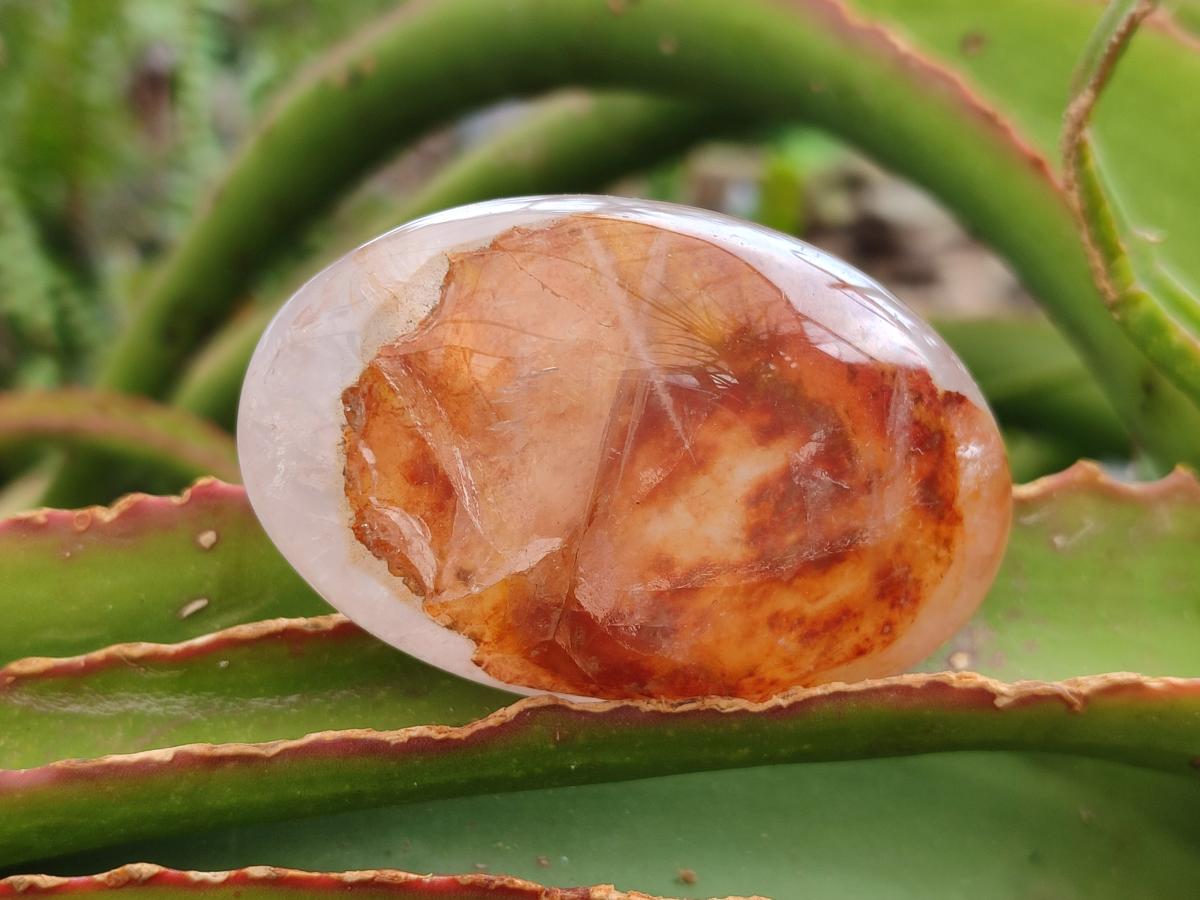 Polished Mixed Galets x 12 From Madagascar - Toprock Gemstones and Minerals 