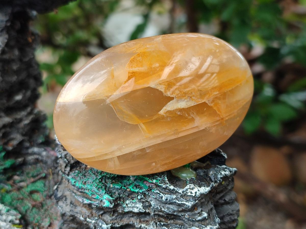 Polished Mixed Galets x 12 From Madagascar - Toprock Gemstones and Minerals 