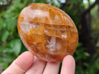 Polished Mixed Galets x 12 From Madagascar - Toprock Gemstones and Minerals 