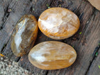 Polished Mixed Galets x 12 From Madagascar - Toprock Gemstones and Minerals 