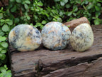 Polished Mixed Galets x 12 From Madagascar - Toprock Gemstones and Minerals 