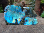 Polished One Side Labradorite Specimens x 12 From Madagascar - Toprock Gemstones and Minerals 