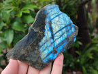 Polished One Side Labradorite Specimens x 12 From Madagascar - Toprock Gemstones and Minerals 