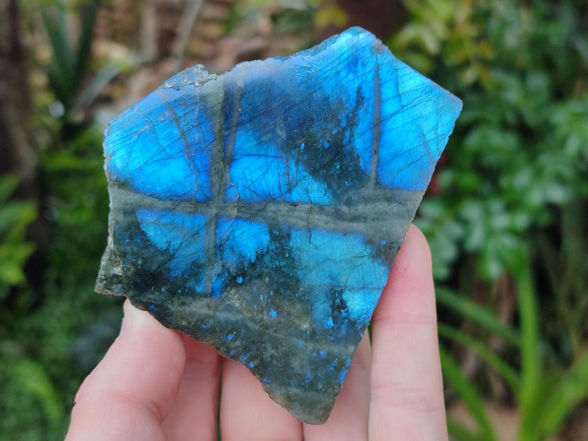 Polished One Side Labradorite Specimens x 12 From Madagascar - Toprock Gemstones and Minerals 