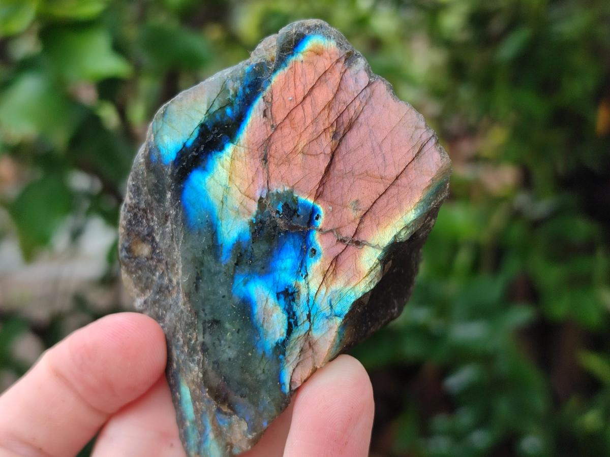 Polished One Side Labradorite Specimens x 12 From Madagascar - Toprock Gemstones and Minerals 