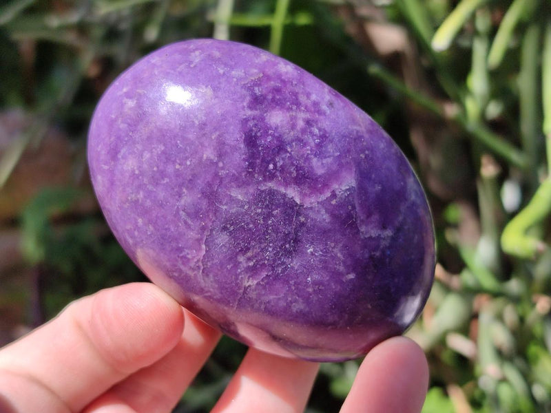 Polished Lepidolite Galets x 6 From Ambatondrazaka, Madagascar - Toprock Gemstones and Minerals 