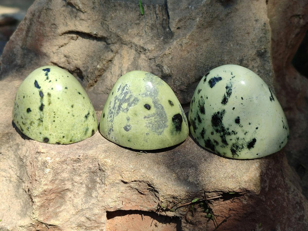 Leopard Spot Rocks Polished Leopard Stone Standing Free Forms x 12 From Zimbabwe – Toprock ...
